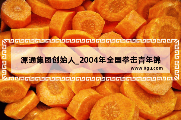 源通集团创始人_2004年全国拳击青年锦标赛冠军