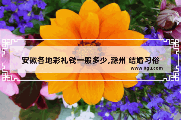 安徽各地彩礼钱一般多少,滁州 结婚习俗