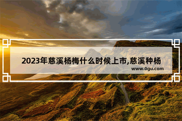 2023年慈溪杨梅什么时候上市,慈溪种杨梅历史文化