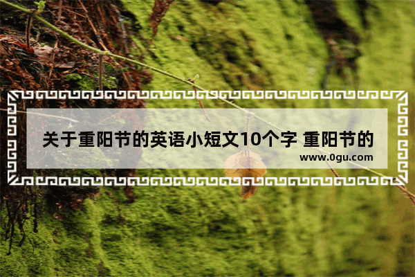 关于重阳节的英语小短文10个字 重阳节的习俗英语