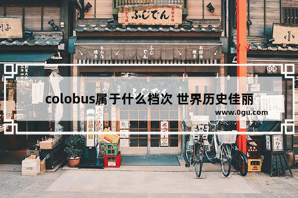 colobus属于什么档次 世界历史佳丽属于什么档次