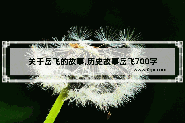 关于岳飞的故事,历史故事岳飞700字