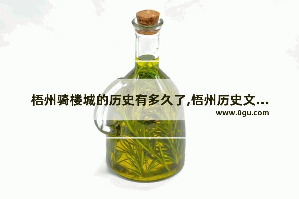 梧州骑楼城的历史有多久了,悟州历史文化资料