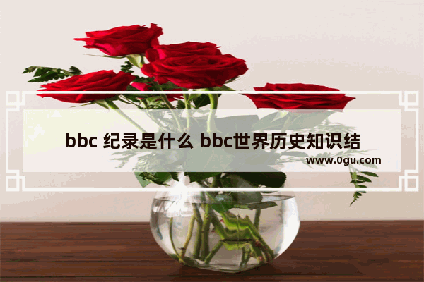 bbc 纪录是什么 bbc世界历史知识结构图