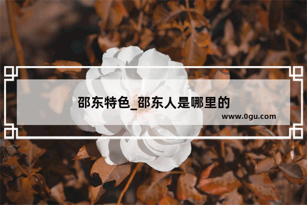 邵东特色_邵东人是哪里的