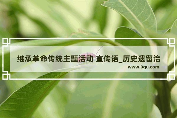 继承革命传统主题活动 宣传语_历史遗留治理标语