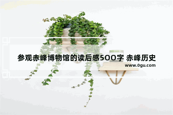 参观赤峰博物馆的读后感5OO字 赤峰历史文化感想