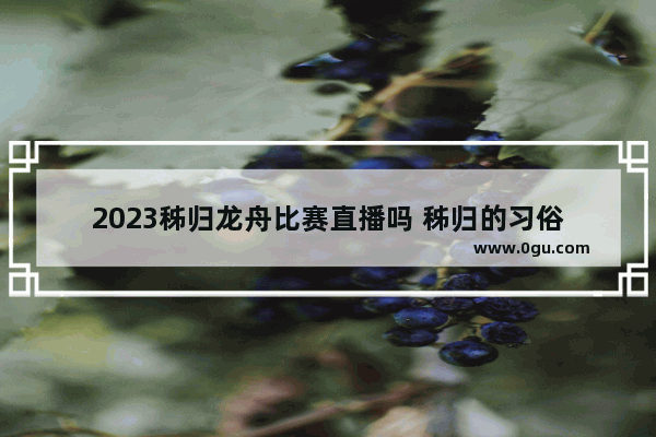 2023秭归龙舟比赛直播吗 秭归的习俗