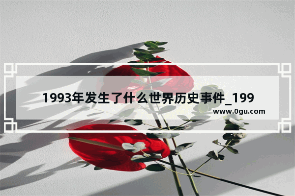 1993年发生了什么世界历史事件_1993发生了什么历史事件