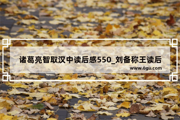 诸葛亮智取汉中读后感550_刘备称王读后感