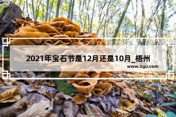 2021年宝石节是12月还是10月_梧州宝石节几点开始