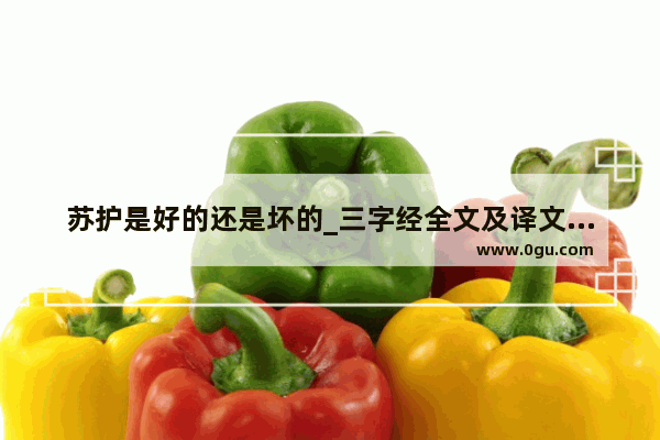 苏护是好的还是坏的_三字经全文及译文注解