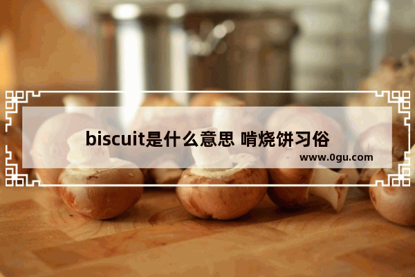 biscuit是什么意思 啃烧饼习俗