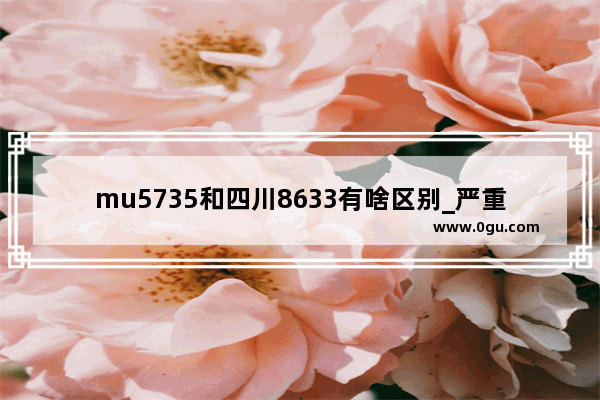 mu5735和四川8633有啥区别_严重事故飞行是指什么