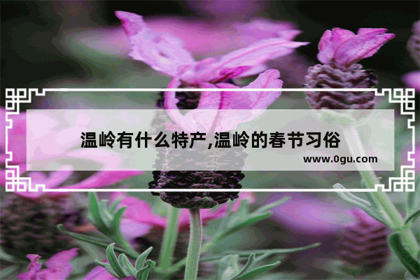 温岭有什么特产,温岭的春节习俗