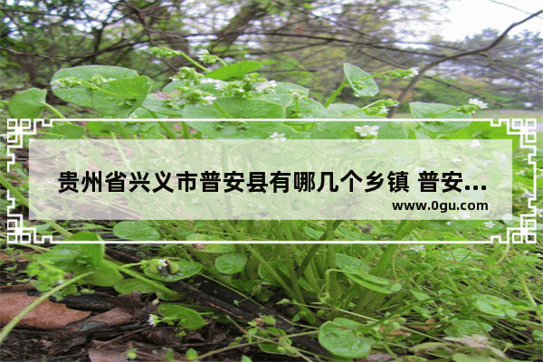 贵州省兴义市普安县有哪几个乡镇 普安高棉乡历史人物