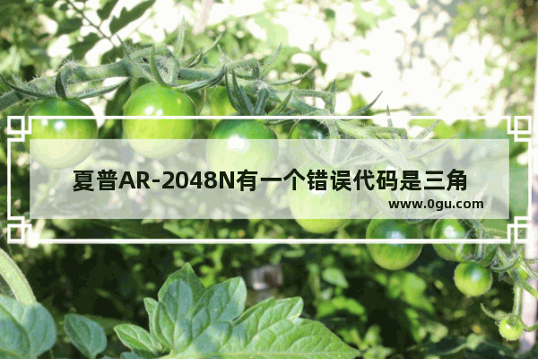 夏普AR-2048N有一个错误代码是三角形的 怎么解决 解密2048历史人物图