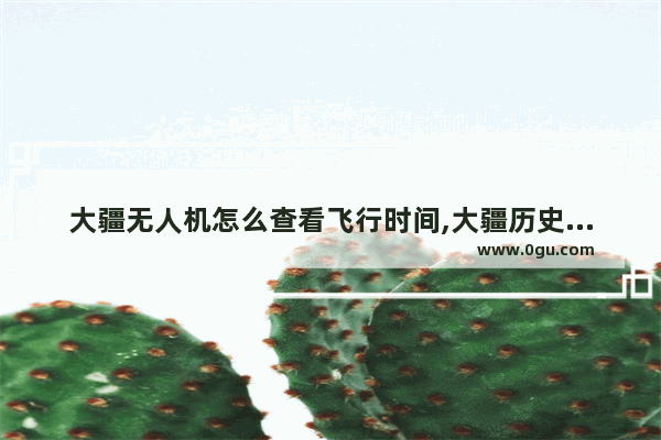 大疆无人机怎么查看飞行时间,大疆历史文化讲解