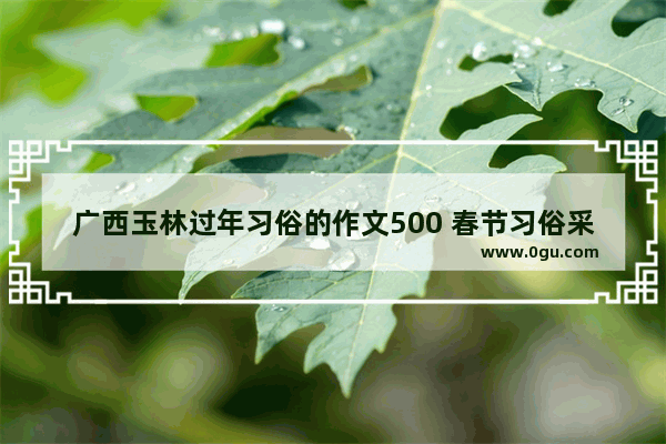 广西玉林过年习俗的作文500 春节习俗采访日记