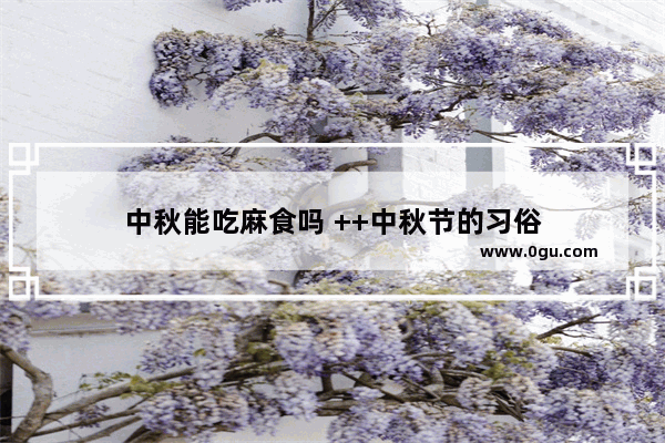 中秋能吃麻食吗 ++中秋节的习俗