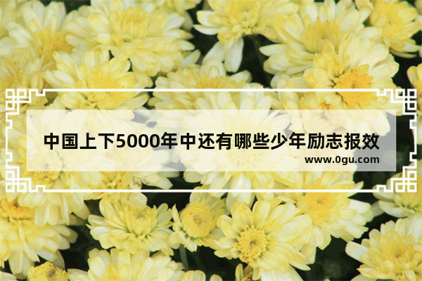 中国上下5000年中还有哪些少年励志报效祖国的故事,播放故事少年历史