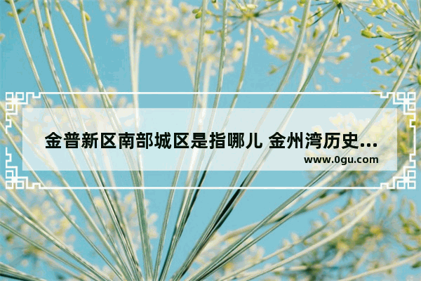 金普新区南部城区是指哪儿 金州湾历史文化资料