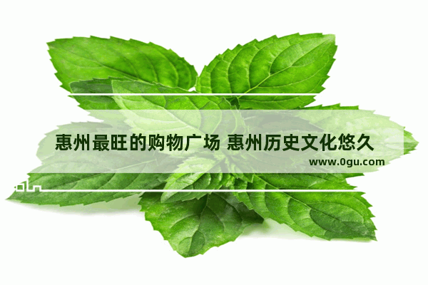 惠州最旺的购物广场 惠州历史文化悠久