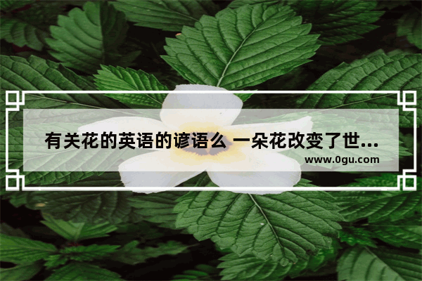 有关花的英语的谚语么 一朵花改变了世界历史英文