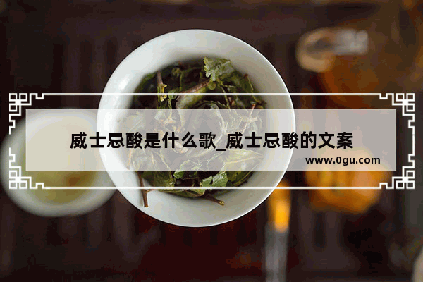 威士忌酸是什么歌_威士忌酸的文案