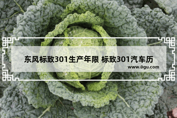 东风标致301生产年限 标致301汽车历史故事