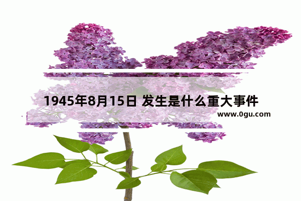 1945年8月15日 发生是什么重大事件 1945中国历史反思