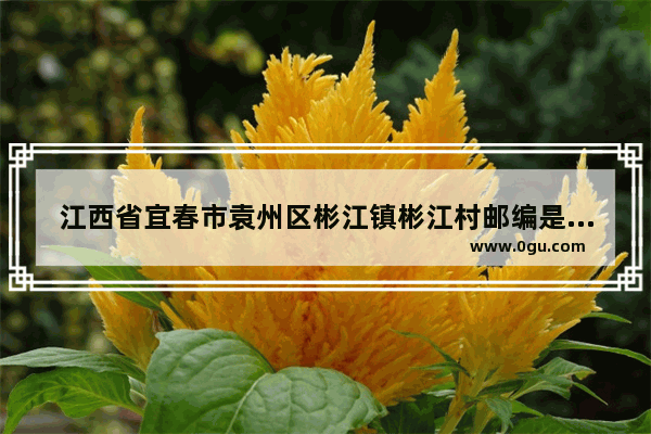 江西省宜春市袁州区彬江镇彬江村邮编是什么 宜春楠木乡历史人物