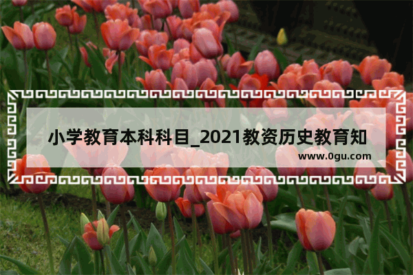 小学教育本科科目_2021教资历史教育知识与能力