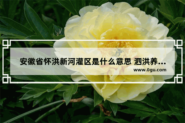 安徽省怀洪新河灌区是什么意思 泗洪养殖习俗