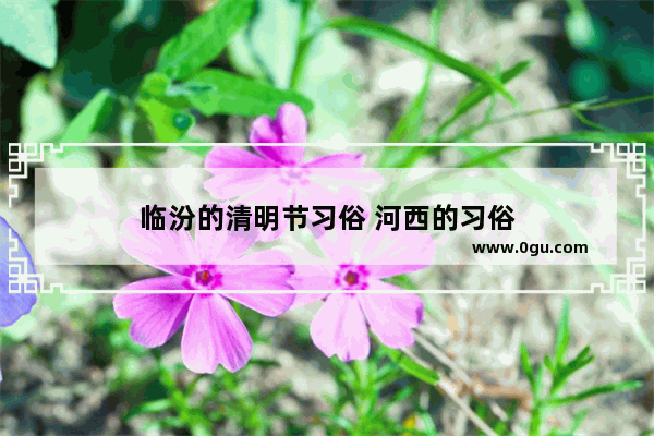 临汾的清明节习俗 河西的习俗