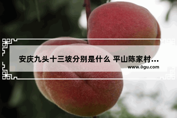 安庆九头十三坡分别是什么 平山陈家村历史文化