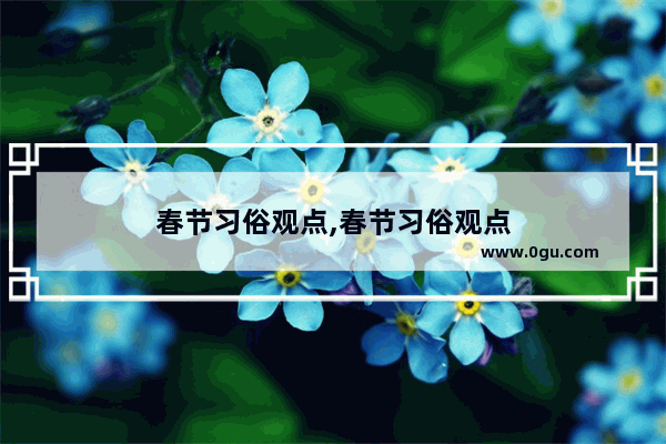 春节习俗观点,春节习俗观点