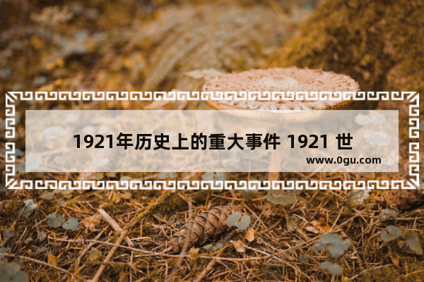 1921年历史上的重大事件 1921 世界历史