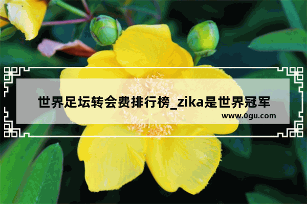 世界足坛转会费排行榜_zika是世界冠军吗