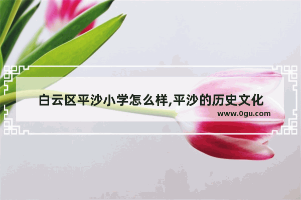 白云区平沙小学怎么样,平沙的历史文化