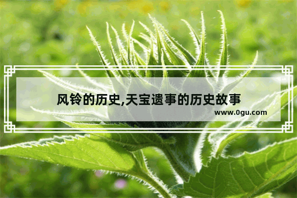 风铃的历史,天宝遗事的历史故事