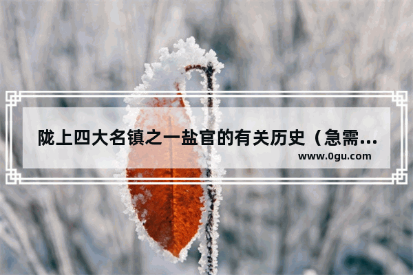 陇上四大名镇之一盐官的有关历史（急需！） 神奇历史2中国历史年表