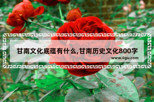 甘南文化底蕴有什么,甘南历史文化800字