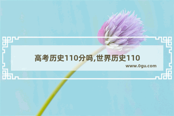 高考历史110分吗,世界历史110