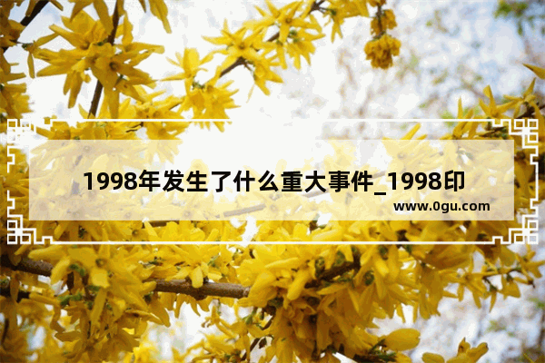 1998年发生了什么重大事件_1998印尼华人事件最终结局