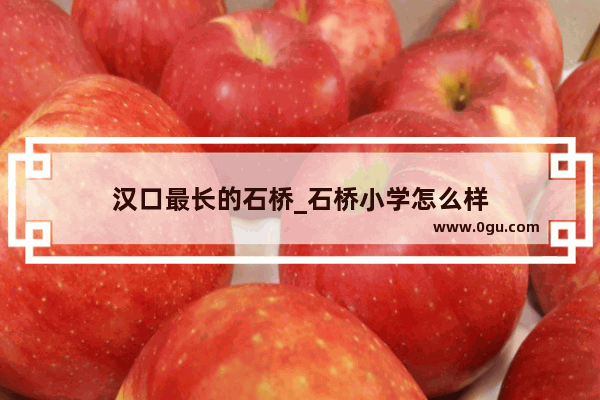 汉口最长的石桥_石桥小学怎么样