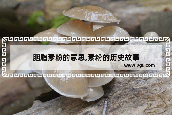 胭脂素粉的意思,素粉的历史故事