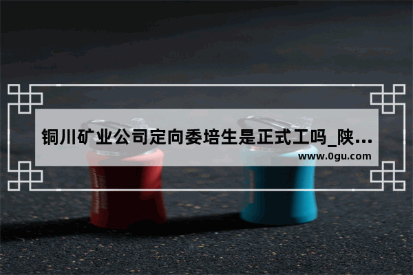 铜川矿业公司定向委培生是正式工吗_陕西省铜川市有哪些旅游景点