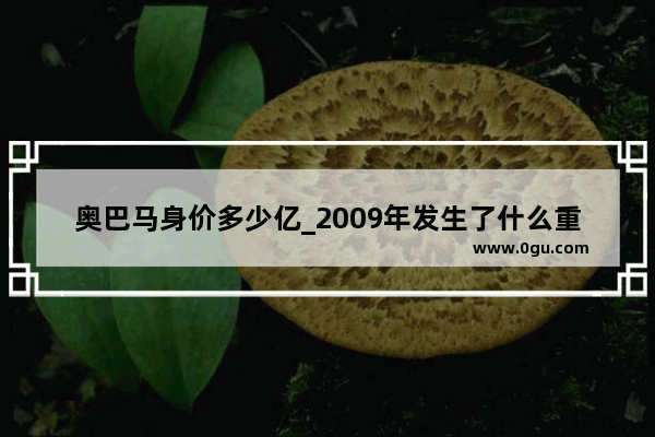 奥巴马身价多少亿_2009年发生了什么重大事件