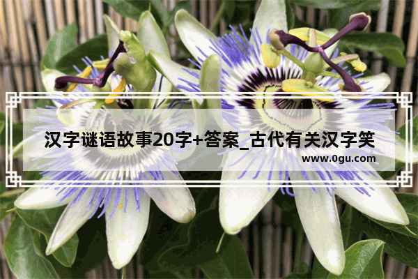 汉字谜语故事20字+答案_古代有关汉字笑话的故事450字